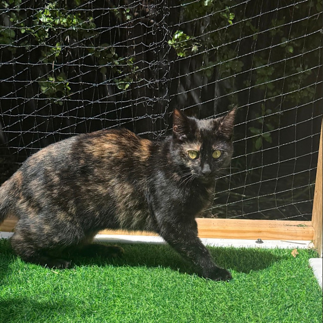 Photo of Wednesday