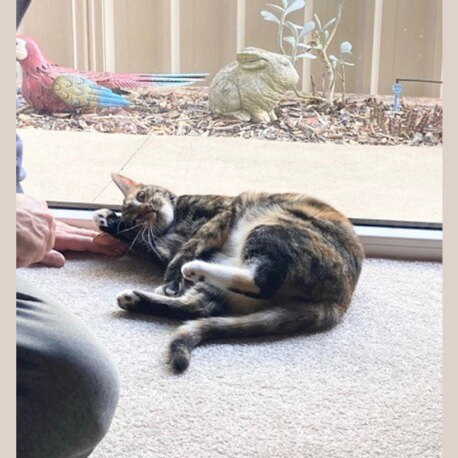 Photo of Luna 
