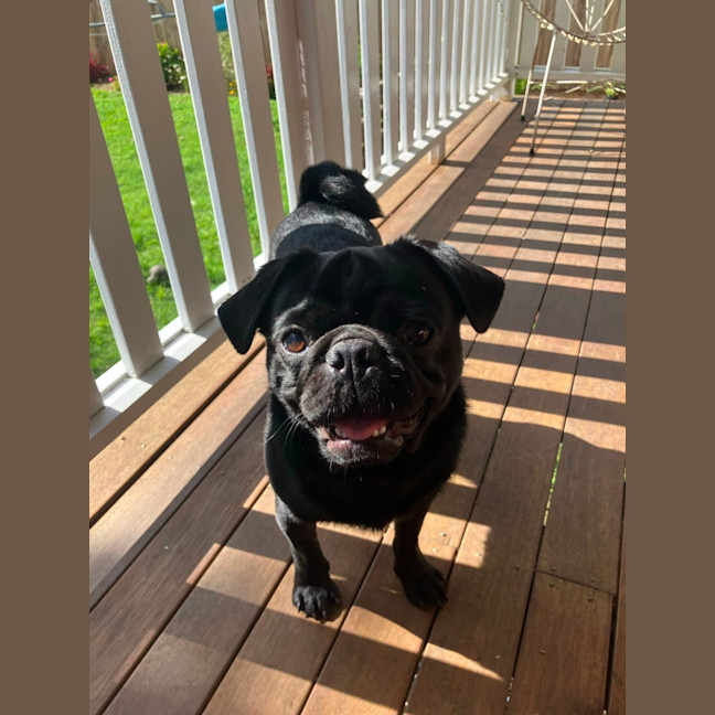 Photo of Milton 💗