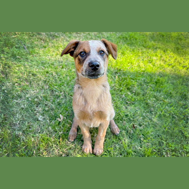 Photo of Kevin
