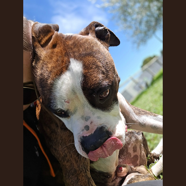 Photo of Tank