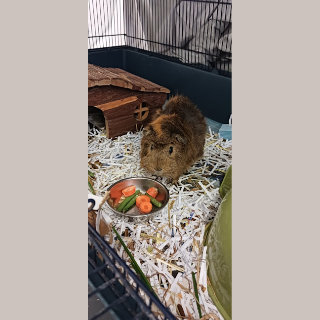 Photo of Theodore