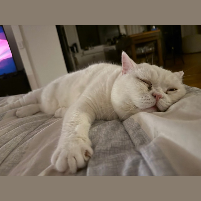 Photo of Yuki