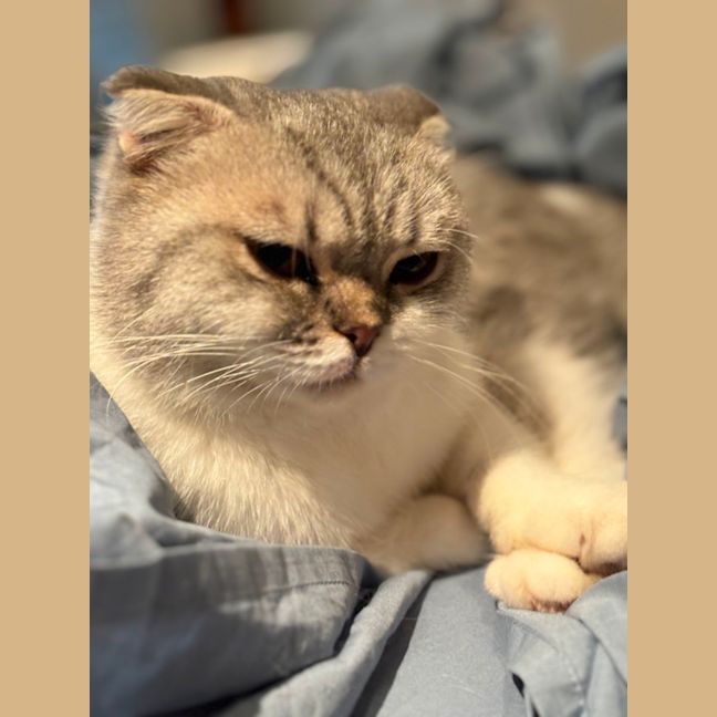Photo of Reyne (Rain)