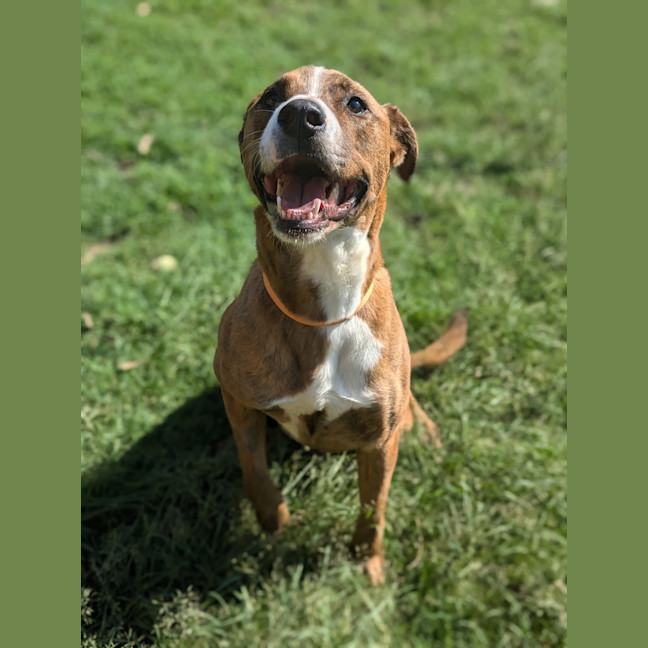Photo of Ralph