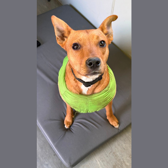 Photo of Reggie