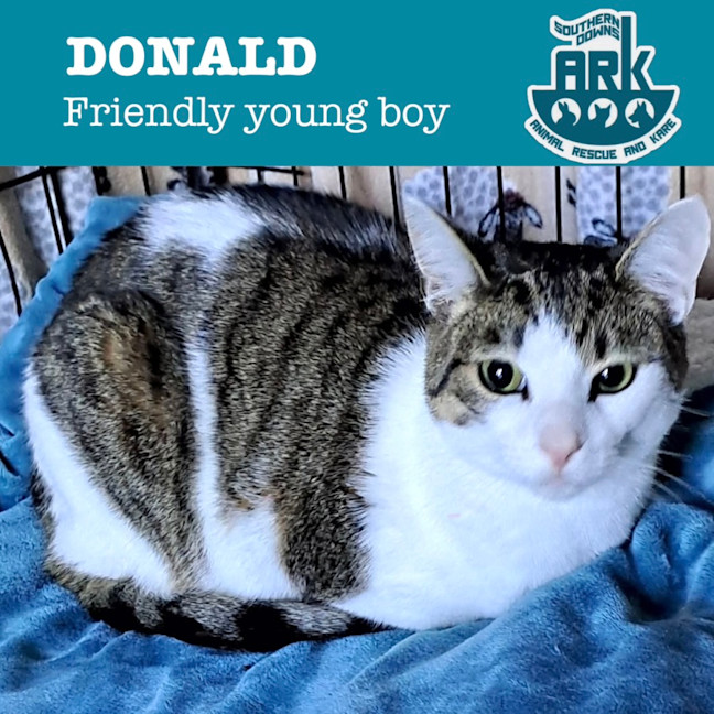 Photo of Donald