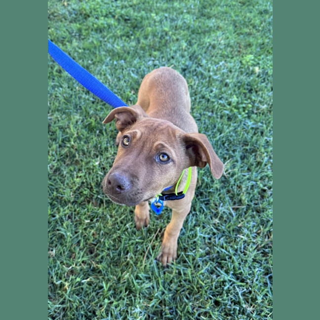 Photo of Salsa