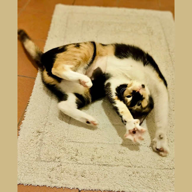 Photo of Neve Now Stevie