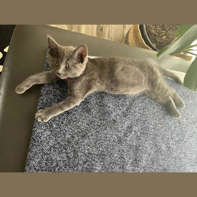 Photo of Lala