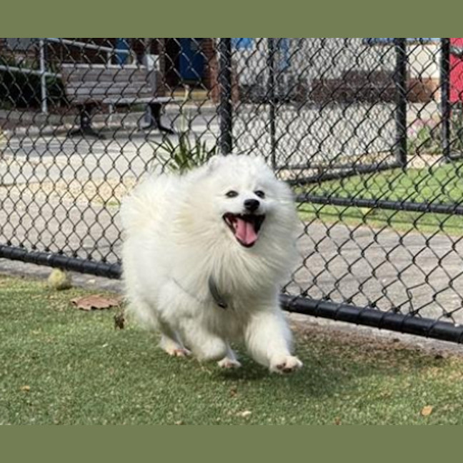 Photo of Powder