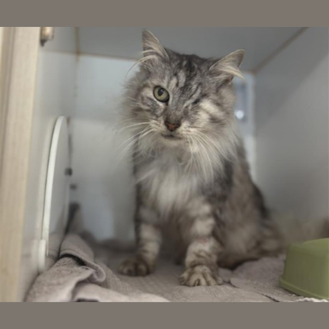 Photo of Jasper