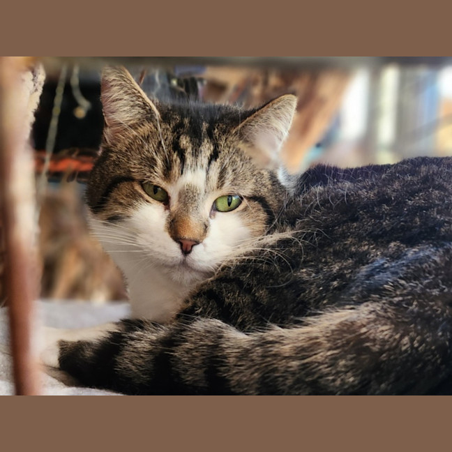 Photo of Farley