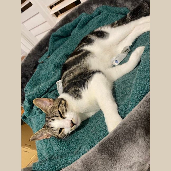 Photo of Jerry Freckle