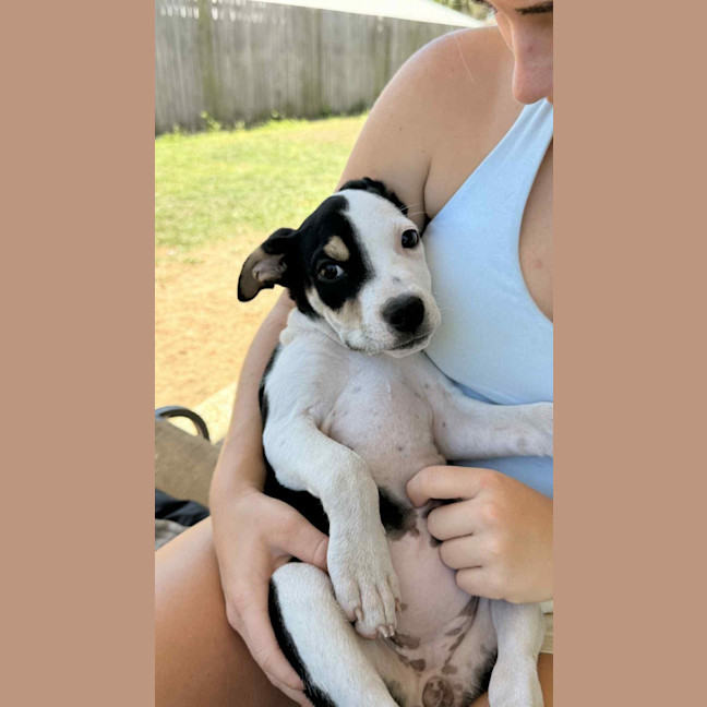 Photo of Novalie (P12)