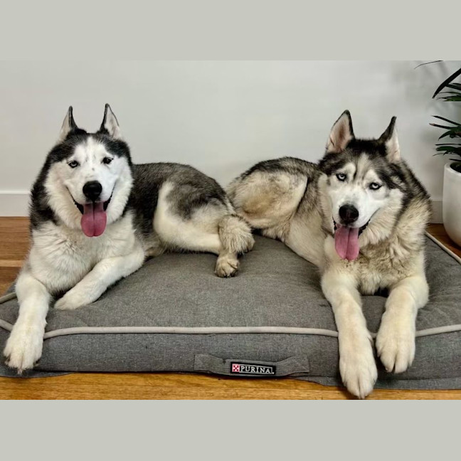 Photo of Digga & Shadow