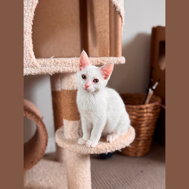 Photo of Wendy