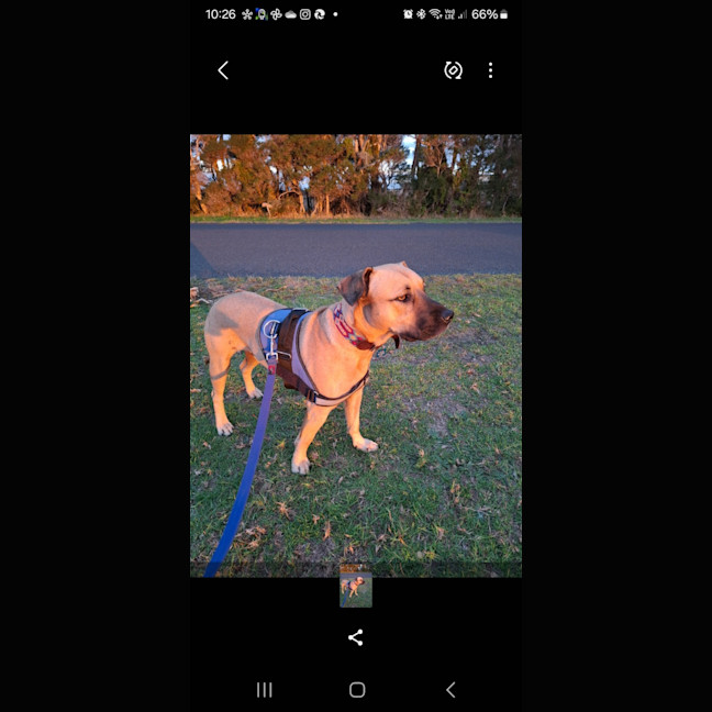 Photo of Turbo 