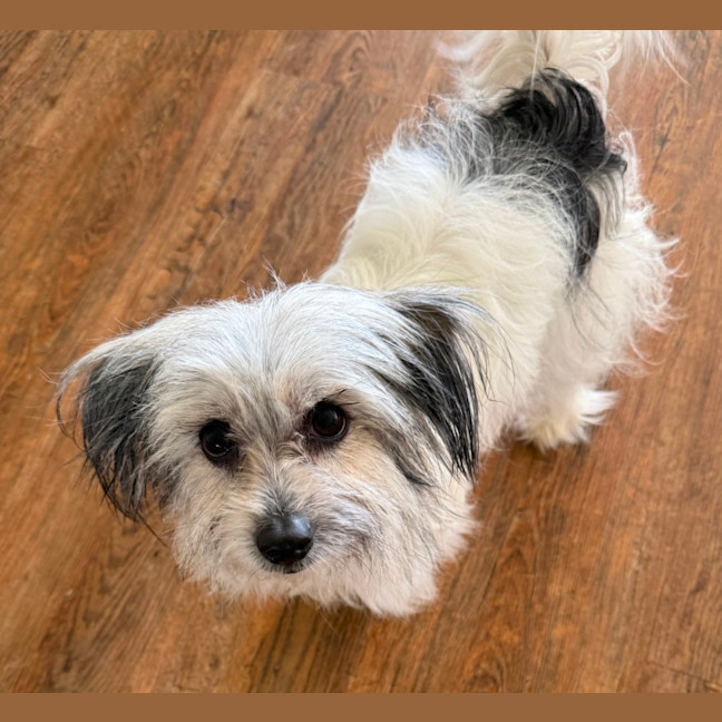 Photo of Hazel