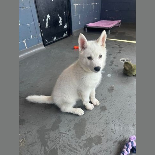 Photo of Maya