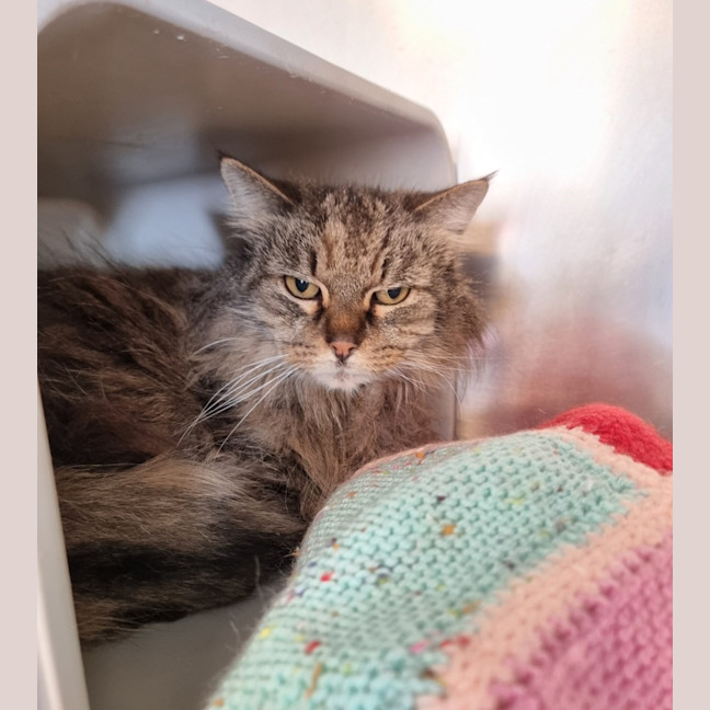 Photo of Kit