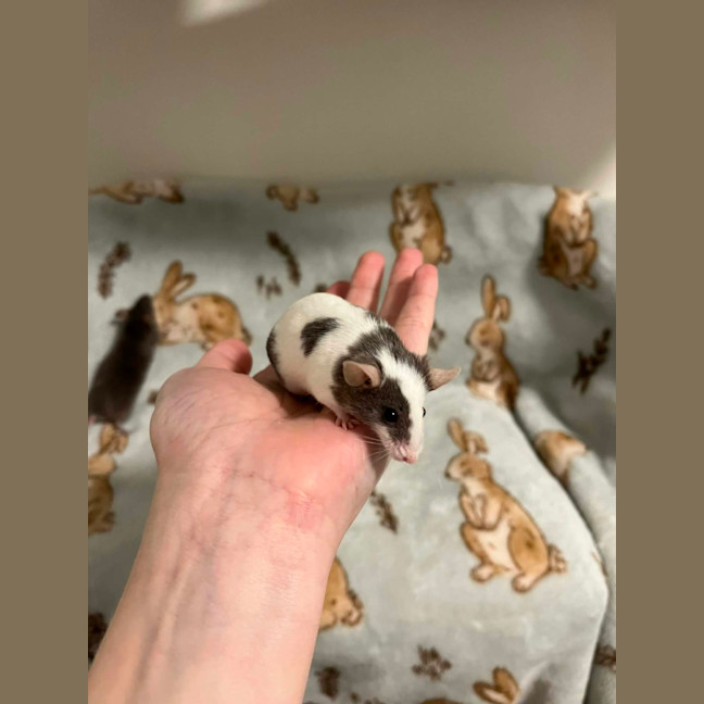 Photo of Hank & Joel