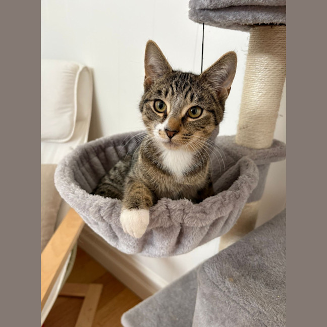 Photo of Billy Button