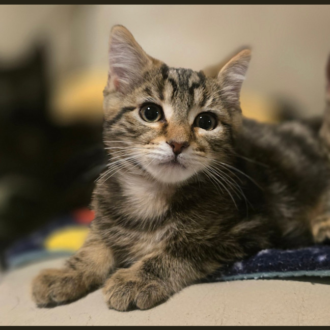 Photo of Gus