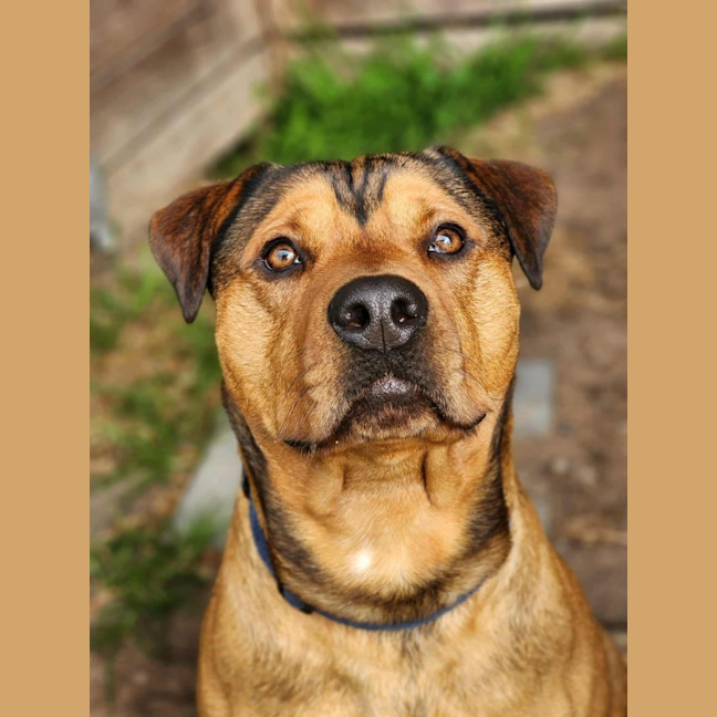 Photo of 👑 King 6259 👑