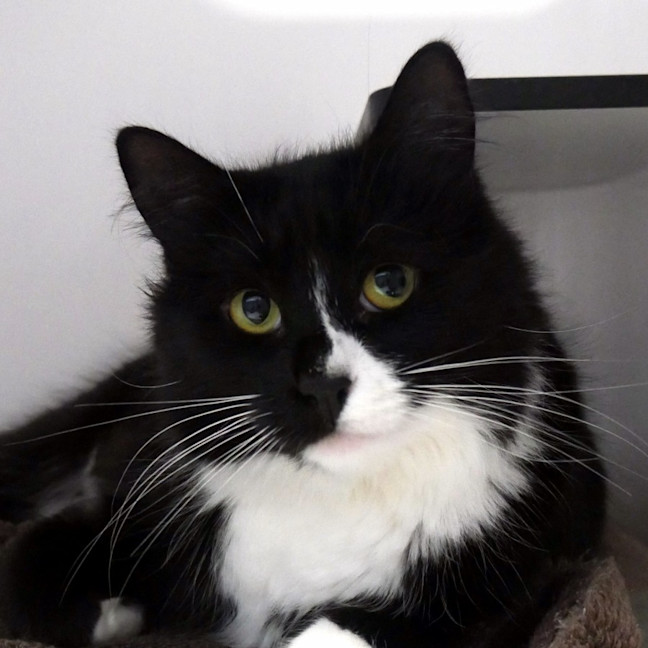 Photo of Luna Rsua011173