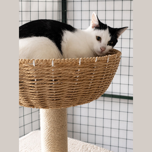 Photo of Matilda
