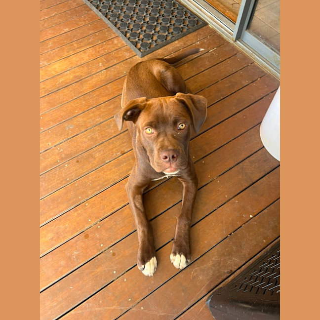 Photo of Christopher Robbin