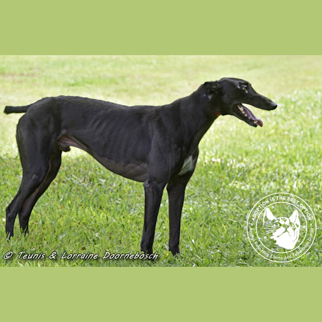 Photo of Billy (Canya Revamp)