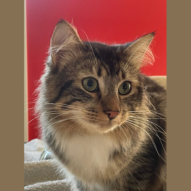 Photo of Percy