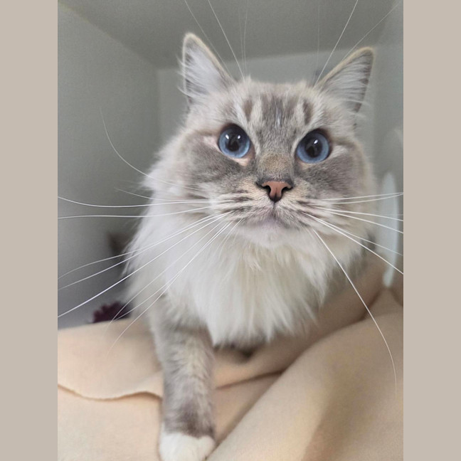 Photo of Molly