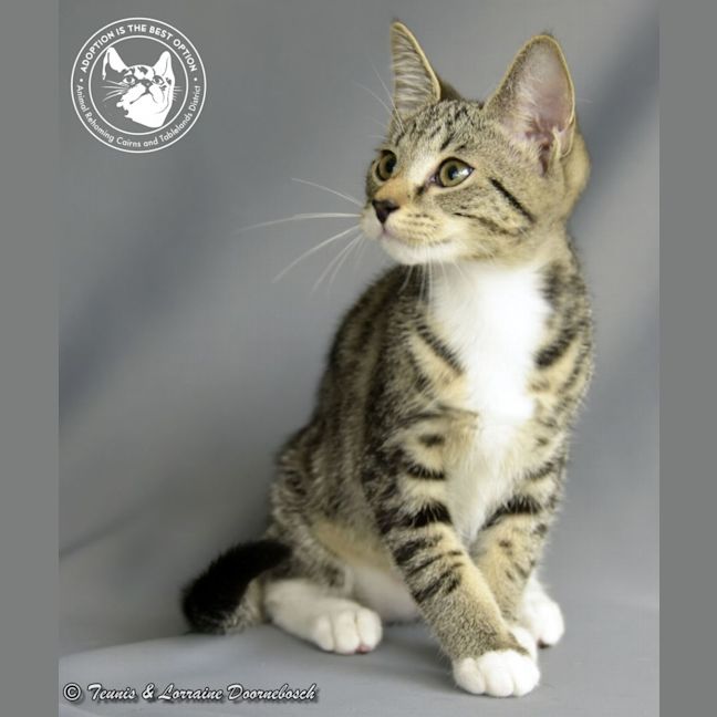 Photo of Buster Rhymes