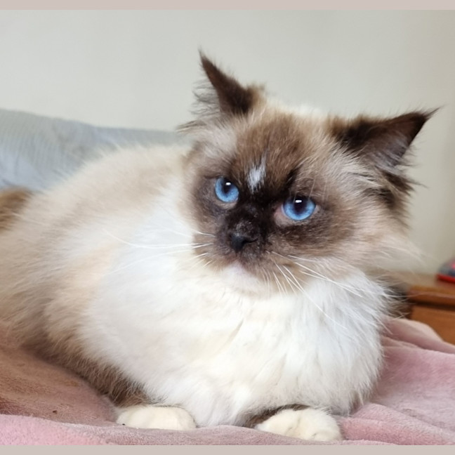 Photo of Neo