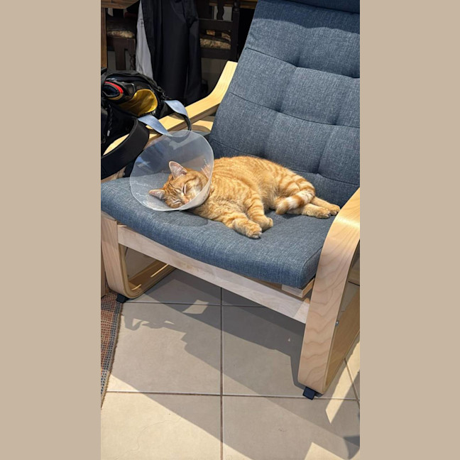Photo of George