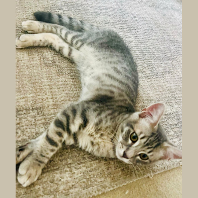 Photo of Magnus