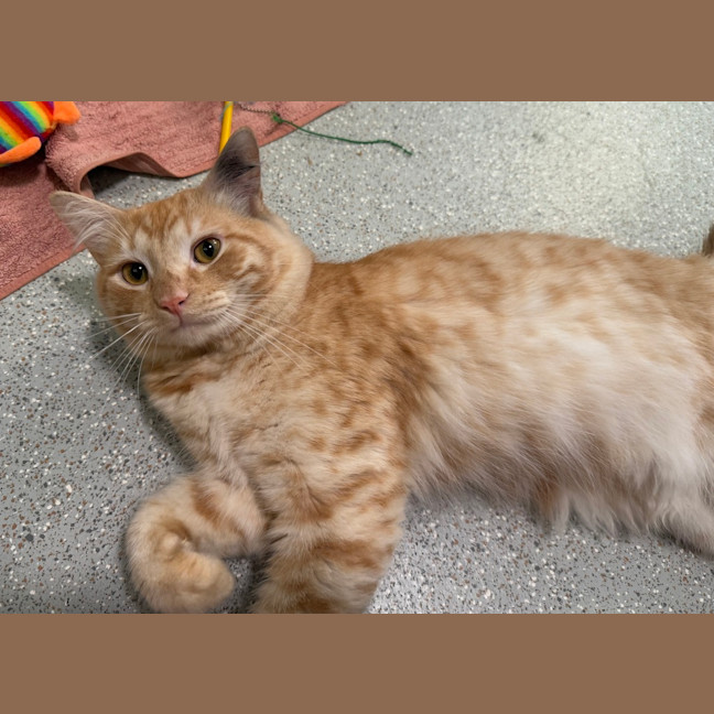 Photo of Alvin