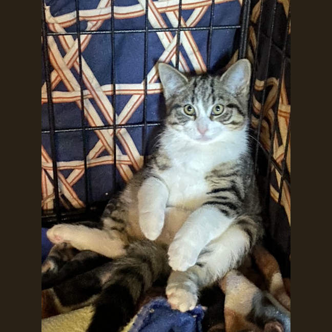 Photo of Tammy