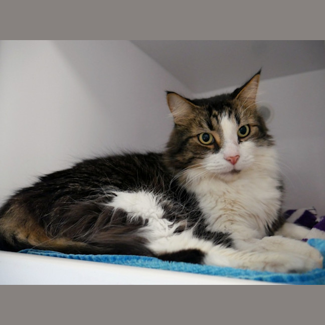 Photo of Milo Sta013928