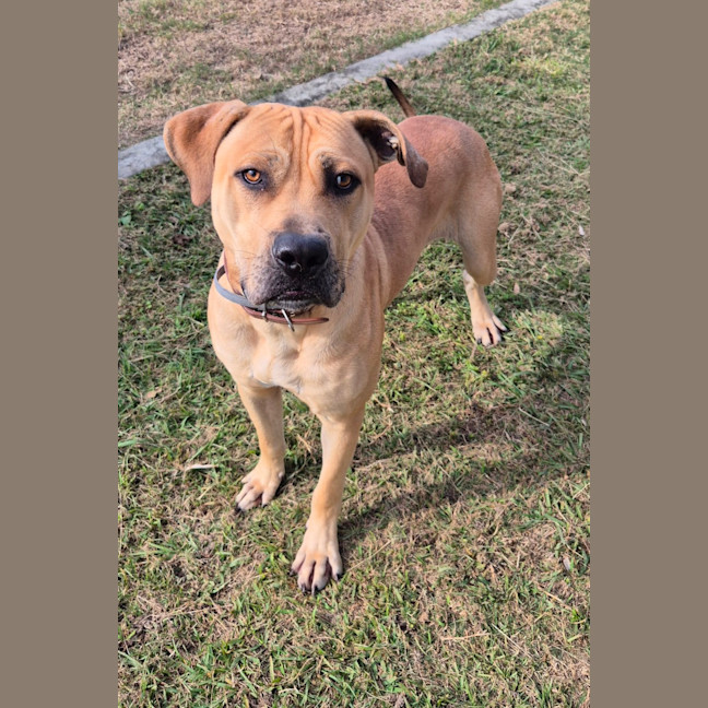 Photo of Tookie (9950)