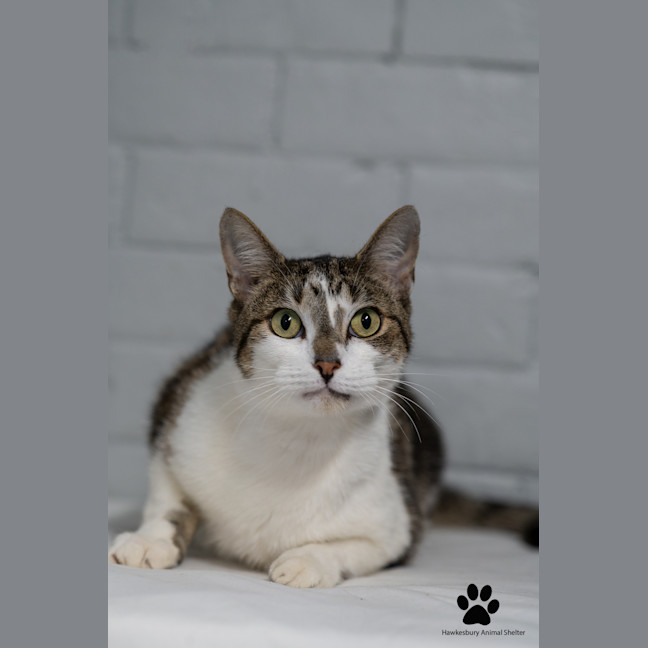 Photo of Zoom