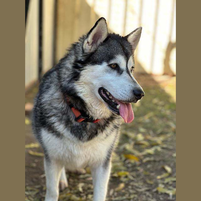 Photo of Delilah