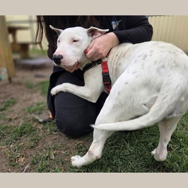 Photo of Roxie