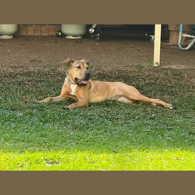 Photo of Prudence