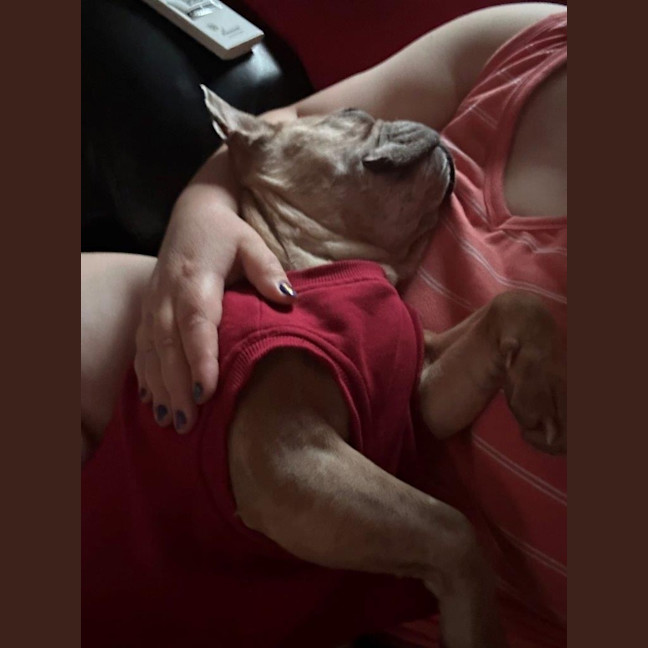 Photo of Luna Wensleydale