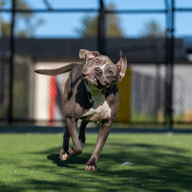 Photo of Versace Imp 1821