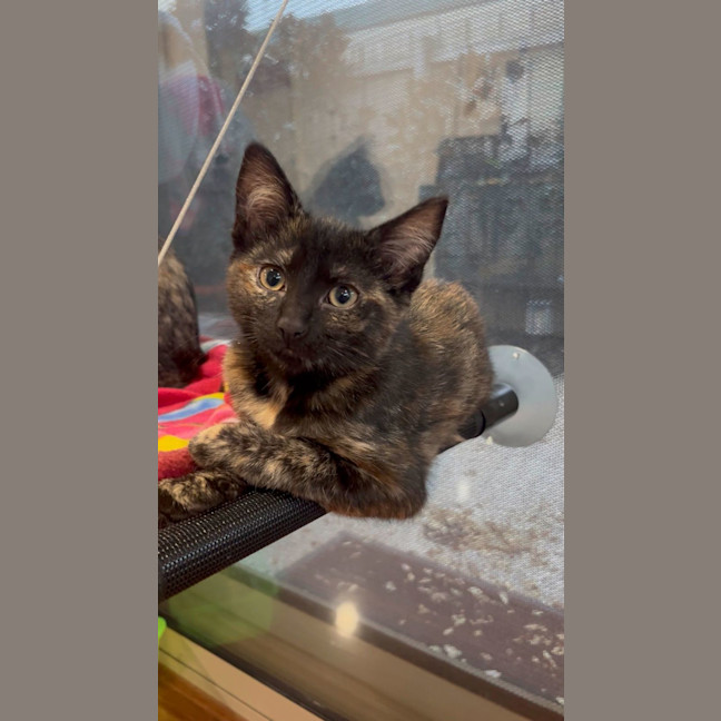 Photo of Wanda